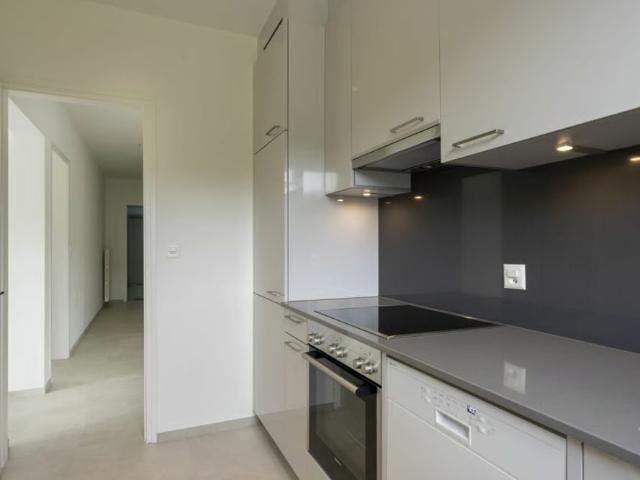 Apartment mieten in Taverne, Tessin
