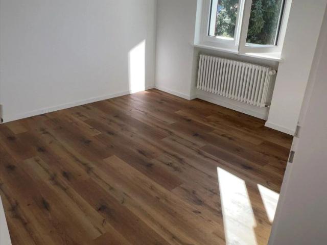 Apartment mieten in Niederrohrdorf, Aargau