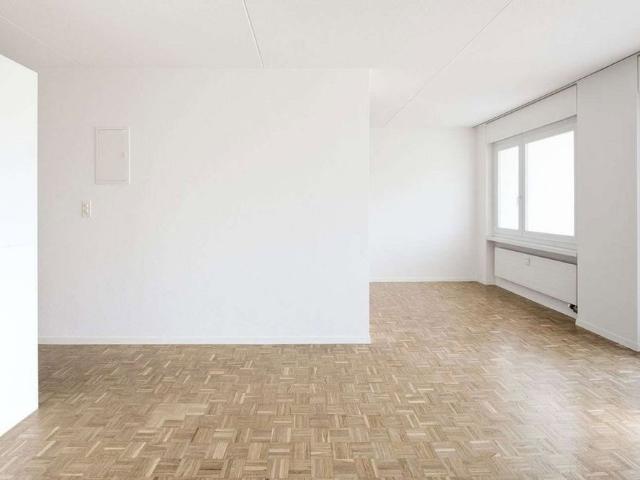 Apartment mieten in Schönenwerd, Solothurn