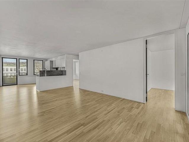 Apartment mieten in Schlieren, Zürich