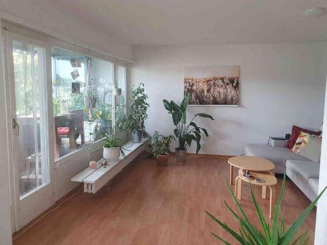 Haus mieten in Muri Ag, Aargau