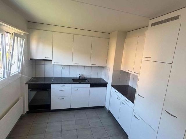 Apartment mieten in Seengen, Bezirk Lenzburg