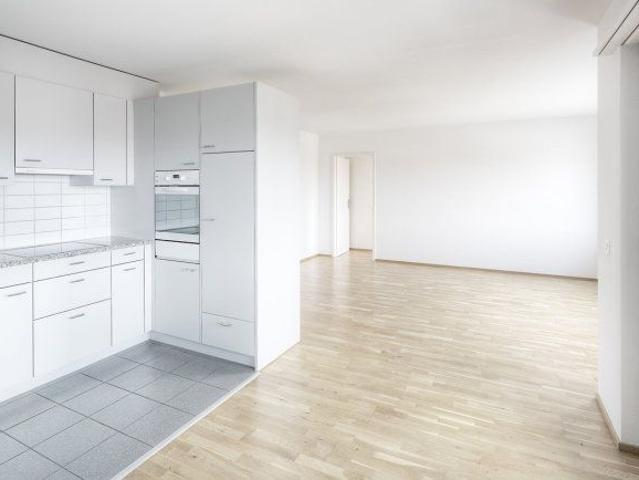 Apartment mieten in Sandmatt, Solothurn