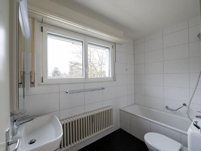 Apartment mieten in Reinach (BL), Basel-Landschaft