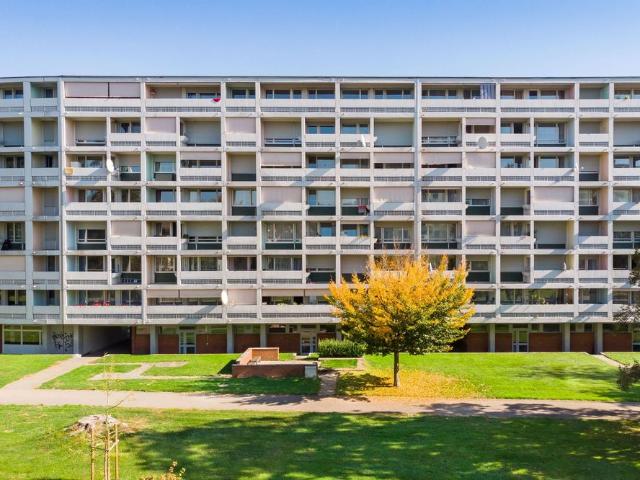 Apartment mieten in Birr, Aargau