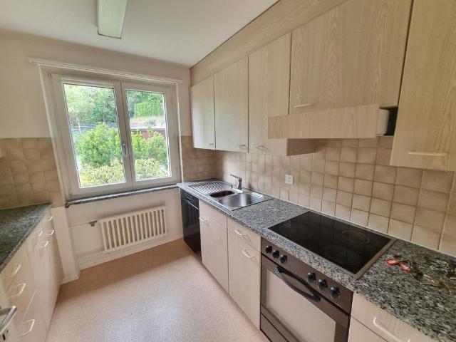 Apartment mieten in Thayngen, Schaffhausen