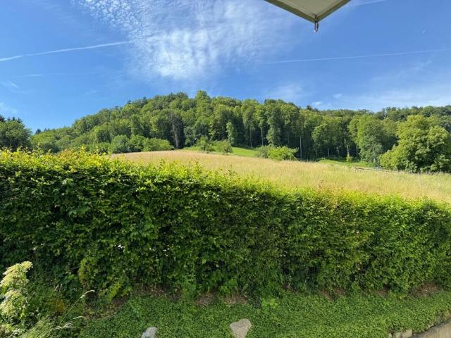 Apartment mieten in Reigoldswil, Basel-Landschaft