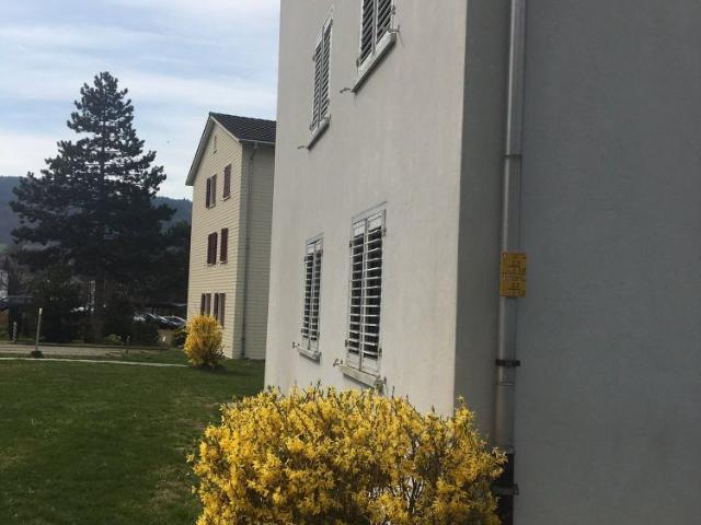 Apartment mieten in Menziken, Aargau