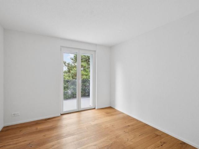 Apartment mieten in Niedergösgen, Solothurn