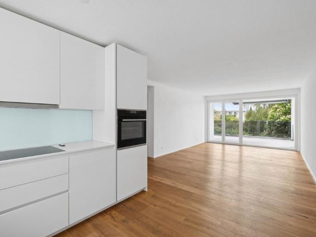 Apartment mieten in Niedergösgen, Solothurn
