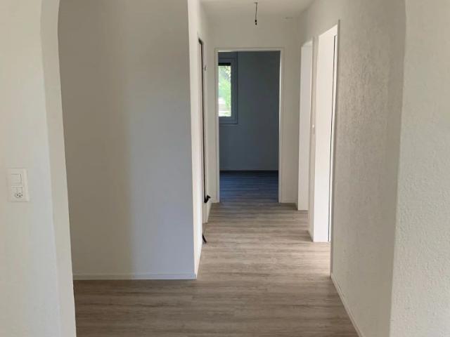 Apartment mieten in Höri, Zürich