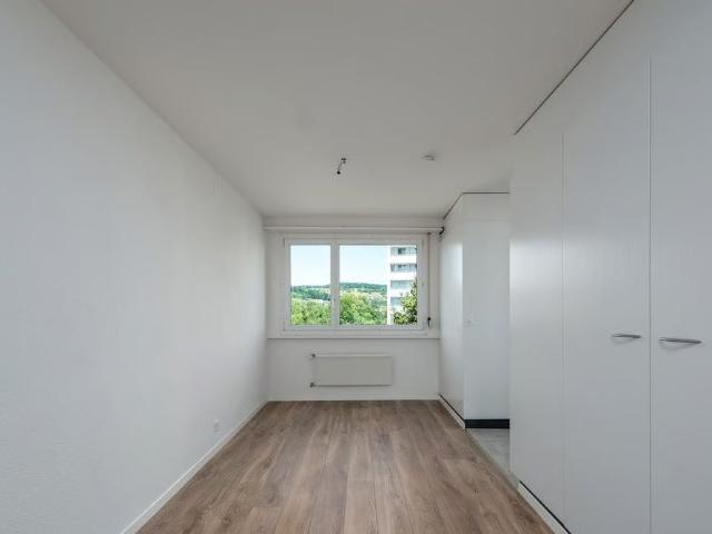 Apartment mieten in Brugg (AG), Aargau