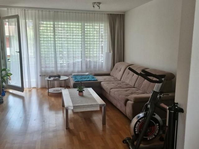 Apartment mieten in Henggart, Zürich