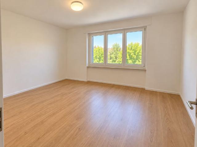 Apartment mieten in Glattbrugg, Opfikon