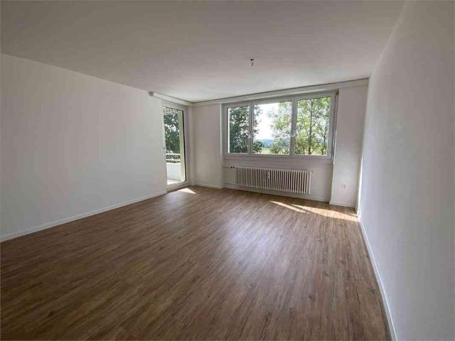 Apartment mieten in Im Pünt, Hefenhofen