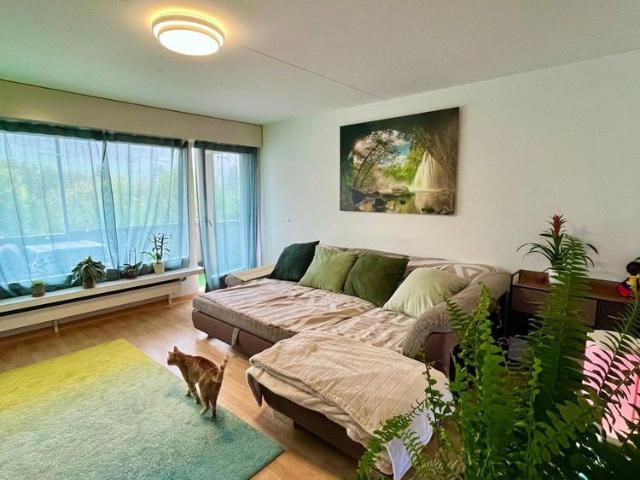 Apartment mieten in Eichmet, Wittnau