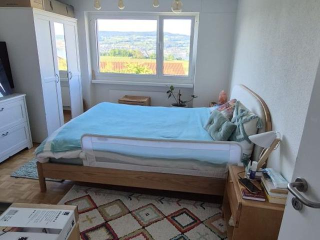 Apartment mieten in Wädenswil, Zürich