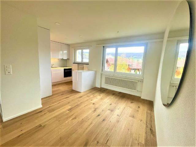 Haus mieten in Erlinsbach (AG), Solothurn