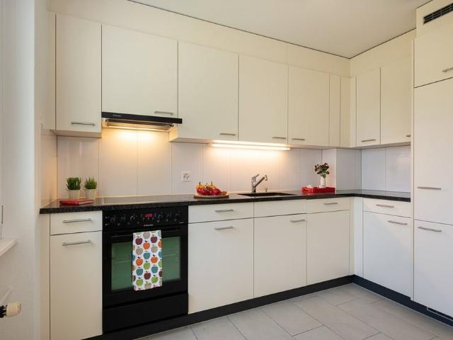 Apartment mieten in Feuerthalen, Zürich