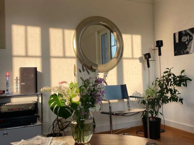 Apartment mieten in Vevey, Waadt