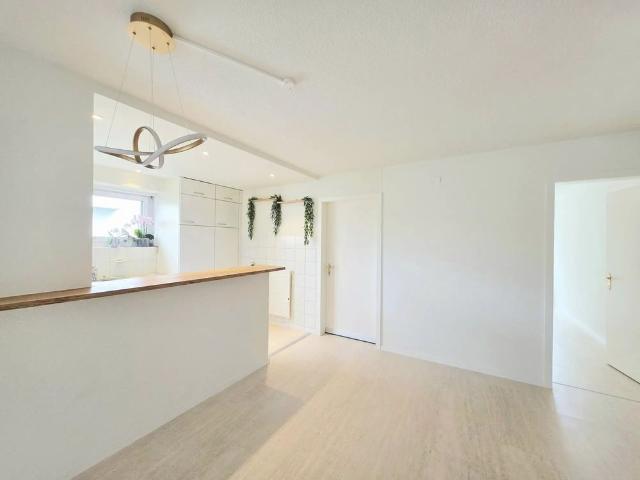 Apartment mieten in Egg, Zürich