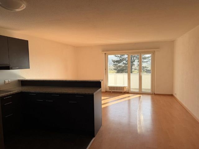 Apartment mieten in Solothurn