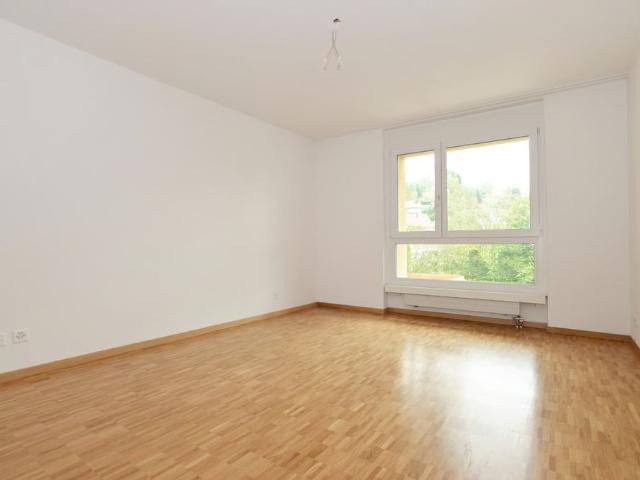 Apartment mieten in Hegnau, Volketswil