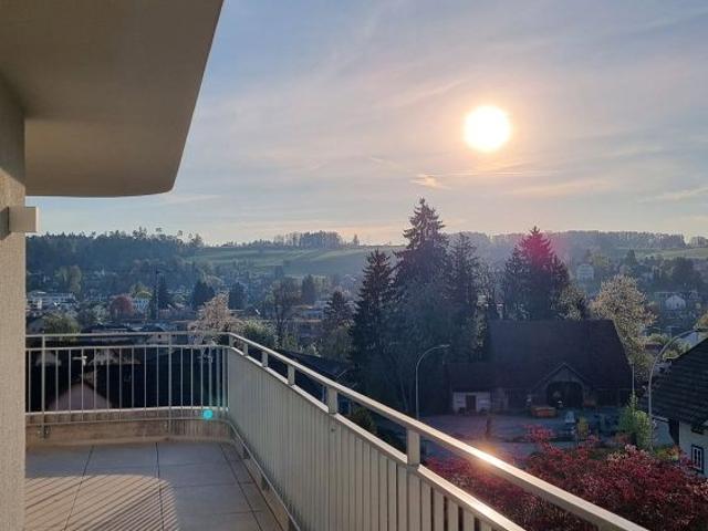 Apartment mieten in Menziken, Aargau