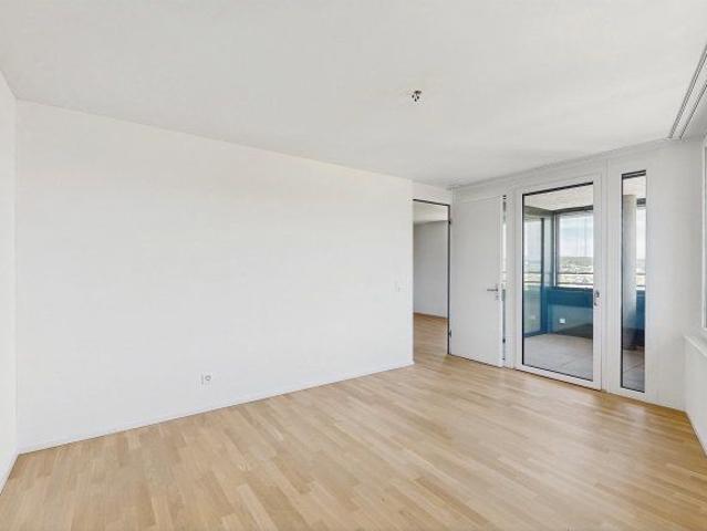 Apartment mieten in Aesch (BL), Basel-Landschaft