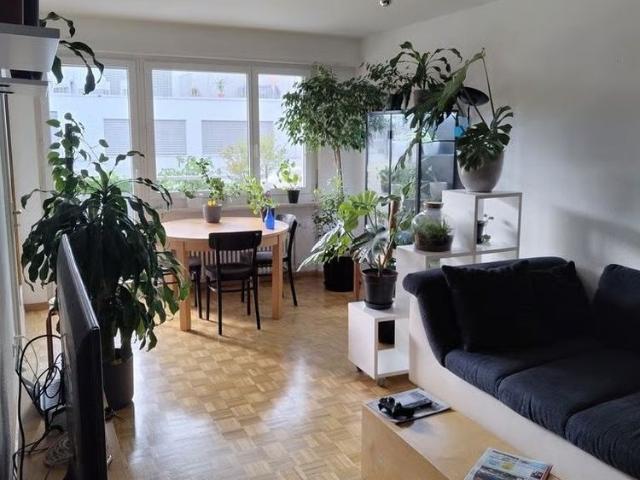Apartment mieten in Basel, Basel-Stadt