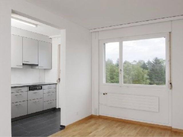 Apartment mieten in Sandacher, Greifensee