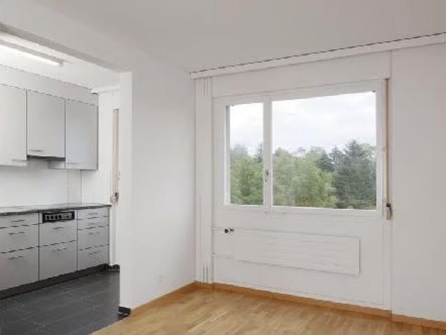 Apartment mieten in Sandacher, Greifensee