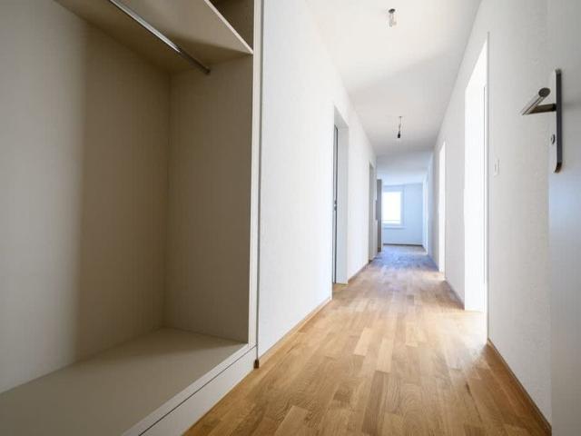 Apartment mieten in Menziken, Aargau