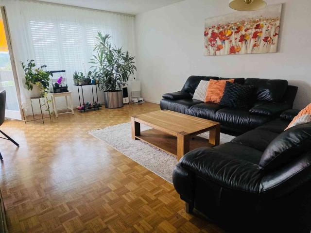 Apartment mieten in Zufikon, Aargau