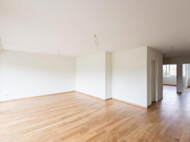 Apartment mieten in Breitenbach, Solothurn