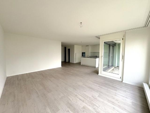 Haus mieten in Olten, Solothurn