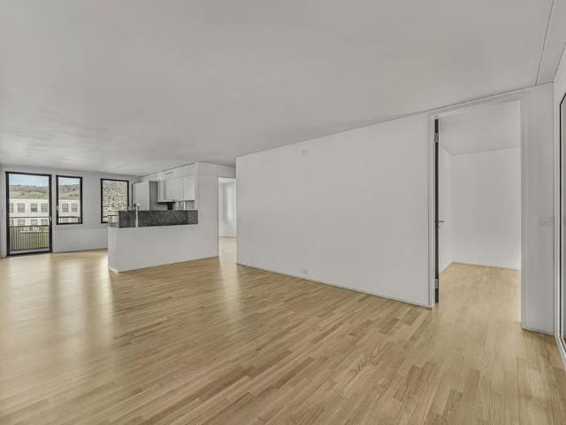 Apartment mieten in Schlieren, Bezirk Dietikon
