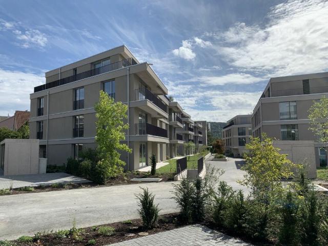 Attikawohnung mieten in Brugg (AG), Aargau