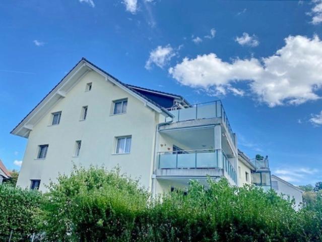 Dachwohnung kaufen in Waltenschwil, Aargau