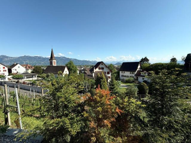 Einfamilienhaus kaufen in Balgach, St. Gallen