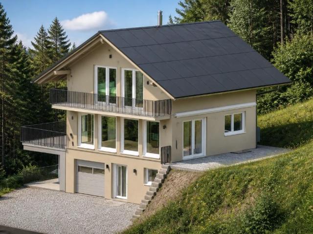 Einfamilienhaus mieten in Steinen, Schwyz
