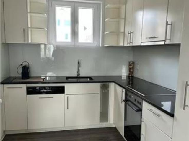Einfamilienhaus kaufen in Schönenwerd, Solothurn