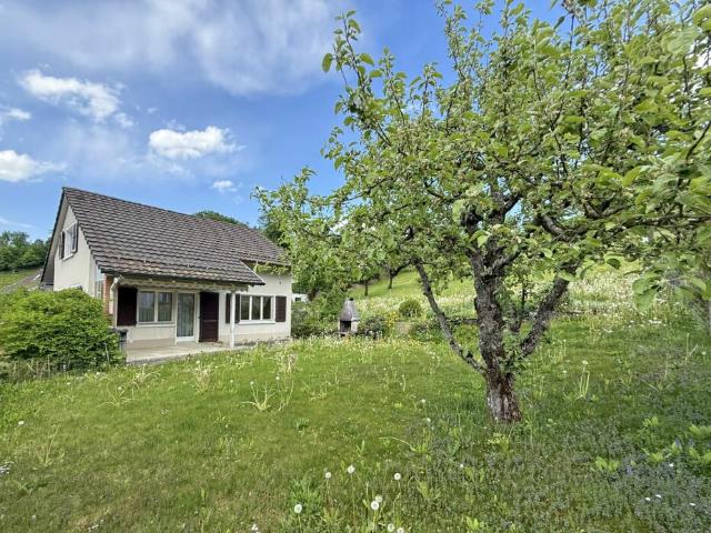 Immobilie kaufen in Reigoldswil, Basel-Landschaft
