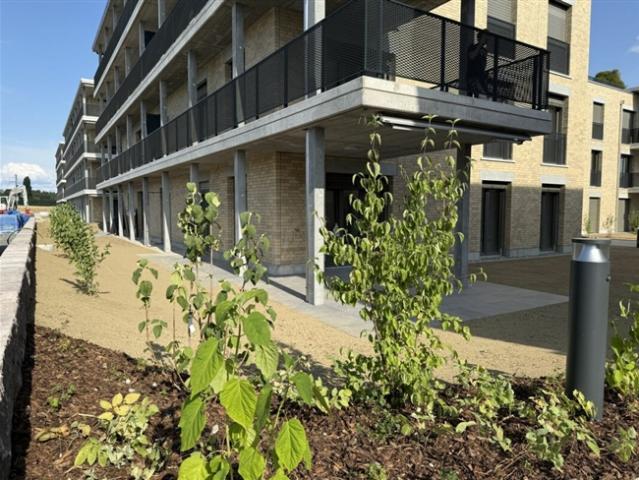 Wohnung kaufen in Berg (TG), Thurgau