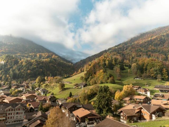 Wohnung kaufen in Wilderswil, Bern