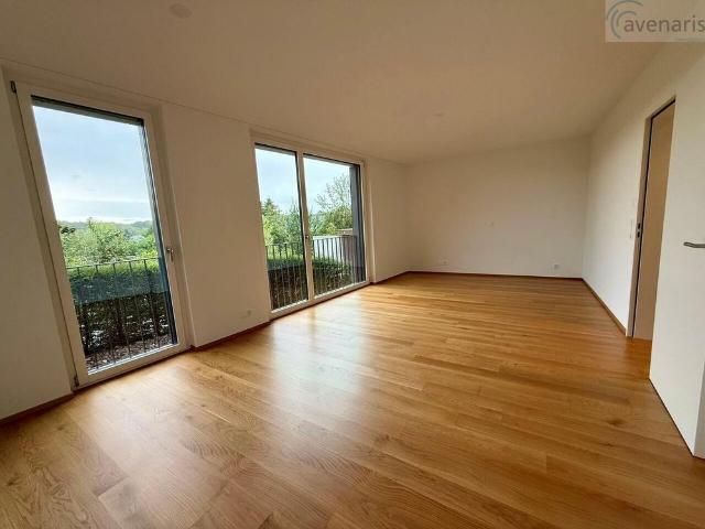 Apartment mieten in Schönenbuch, Bezirk Arlesheim