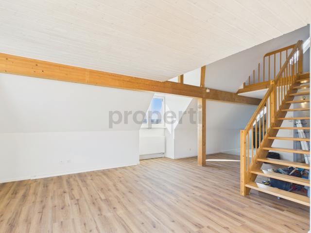 Maisonette kaufen in Feuerthalen, Zürich