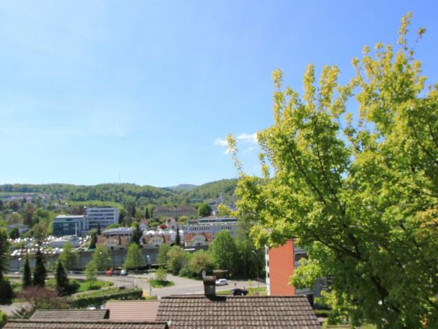 Reihenfamilienhaus kaufen in Liestal, Basel-Landschaft