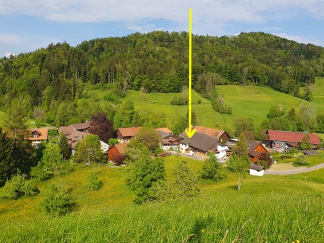 Wohnung mieten in Bäretswil, Zürich