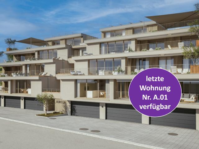 Immobilie kaufen in Aargau